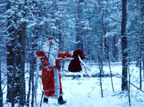 Фото Малыши встретили Деда Мороза в лесу