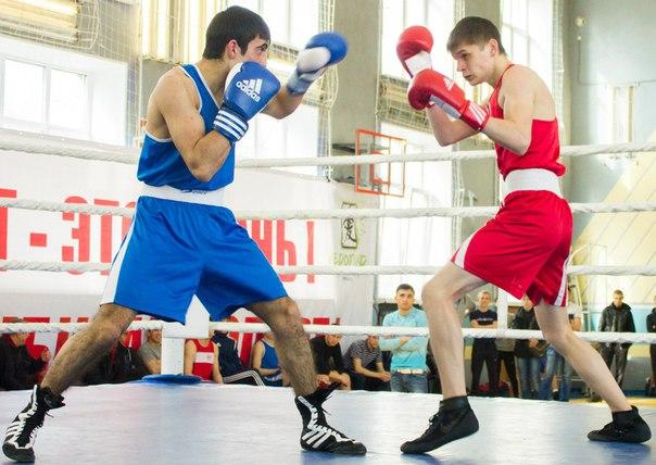 Фото В Челябинске  определены сильнейшие боксеры областной Универсиады