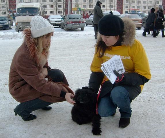 Фото Челябинские зоозащитники не оставляют в беде ни животных, ни их владельцев