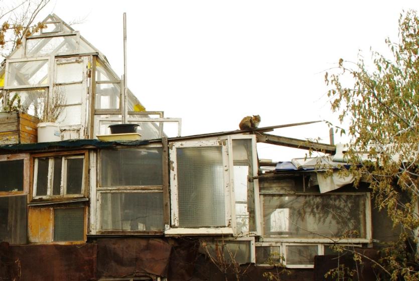 Фото Челябинка «поселила» 33 иностранца в доме без крыши и окон