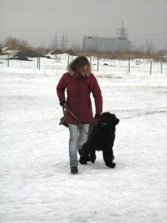 Фото В Челябинске торжественно открылся сезон дрессировки собак