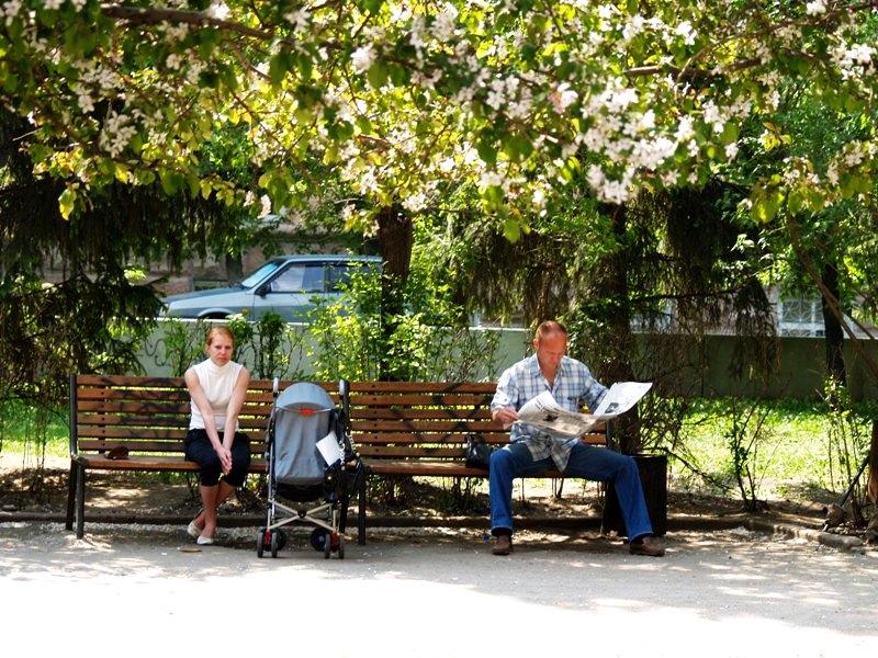 Фото В Челябинске лето. Николин день. В небе - стрижи