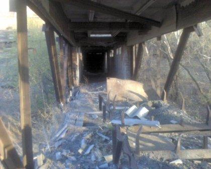 Фото В Челябинске "Белые медведи"  собрали людей Ха