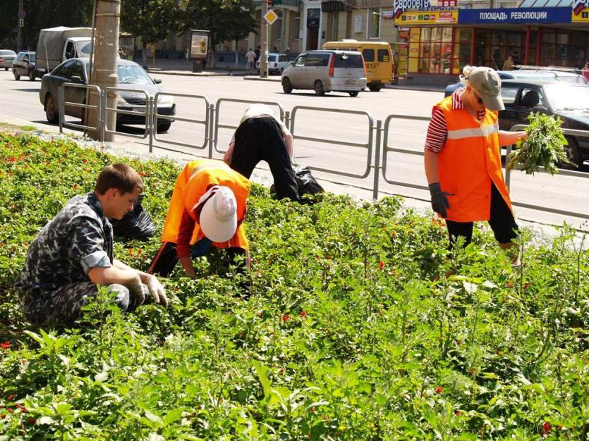 Фото В Челябинской области жара и грозовые дожди