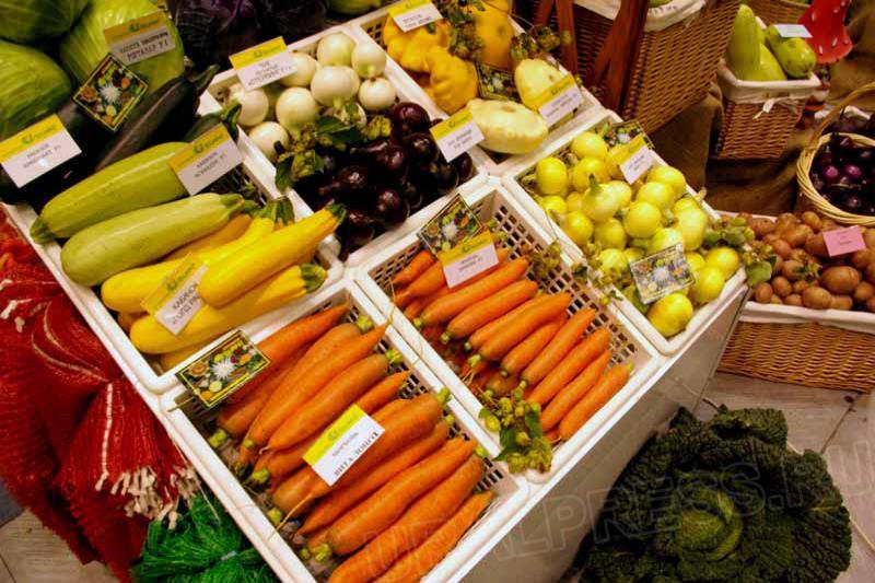 Фото Аграрии Челябинской области обещают хороший урожай овощей