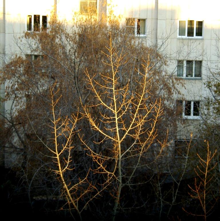 Фото В Челябинской области сохранится сухая и теплая погода