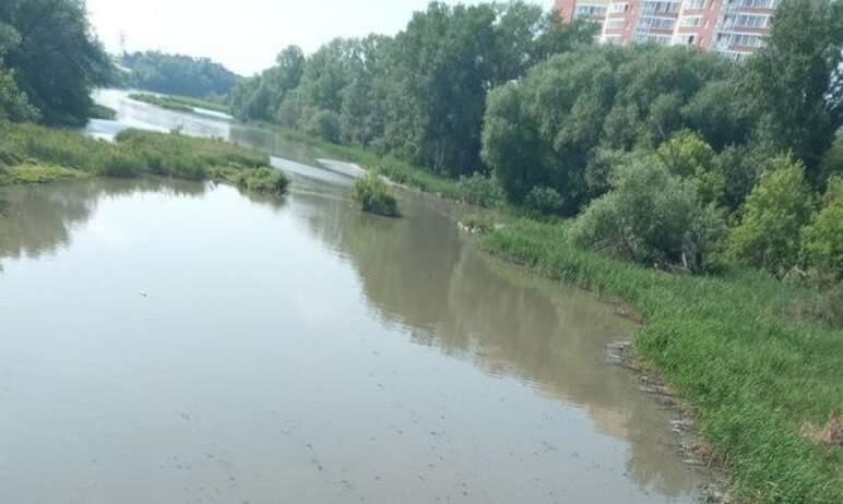 Фото СКР проверяет информацию о загрязнении реки Миасс в Челябинске твердыми отходами