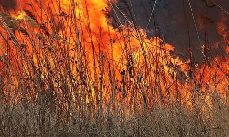 Фото В Челябинской области пожарные борются с возгораниями камыша
