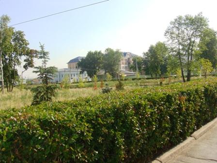Фото Озеленение по конкурсу: бурьян у оперного театра