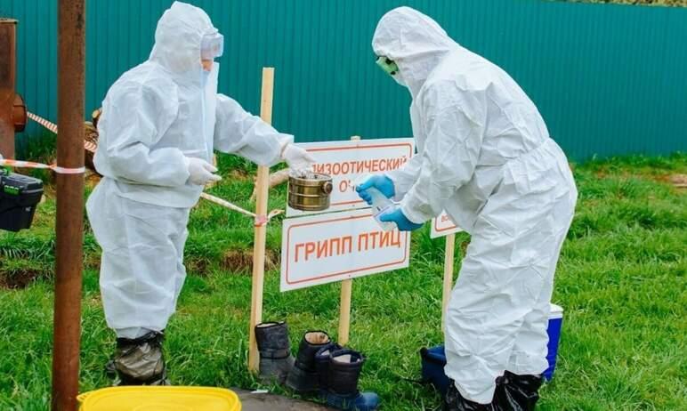 Фото В Челябинске в связи с угрозой птичьего гриппа собрался оперативный штаб