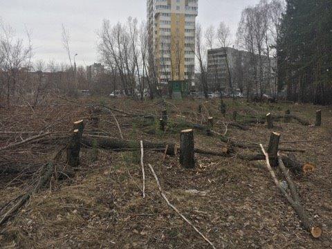 Фото Жители Челябинска отстояли сквер на Захаренко