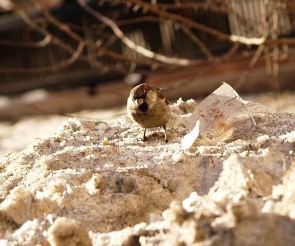 Фото В Челябинской области стало теплее