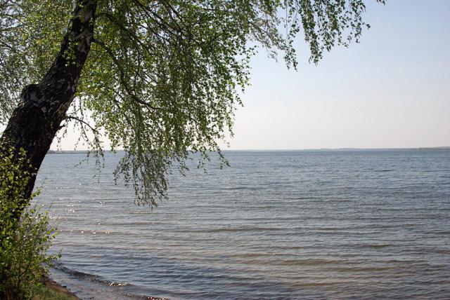 Фото Специалисты Росприроднадзора проверят Шершневское водохранилище