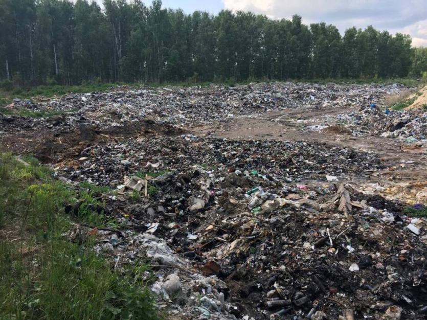 Фото Эко-активисты нашли 11 незаконных свалок в Сосновском районе