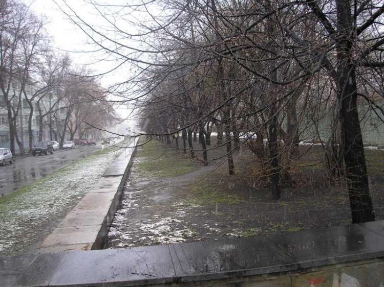 Фото В Челябинскую область пришли дожди и ветры