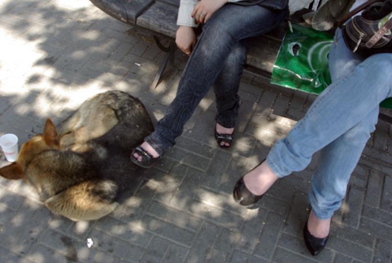 Фото В Челябинской области тепло и сухо
