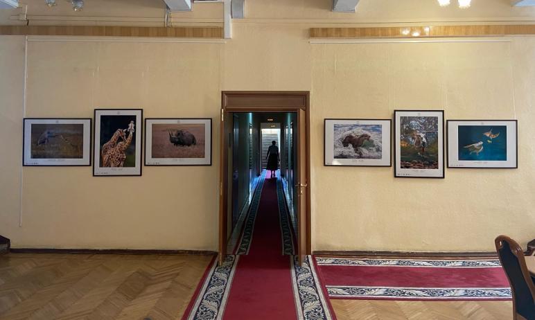 Фото В правительстве Челябинской области открылась четвертая в этом году фотовыставка Исторического музея