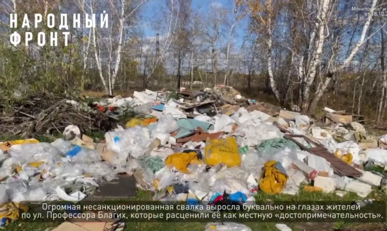 Фото Глава СКР поставил на контроль проверку жалобы о крупной незаконной свалке в Челябинске