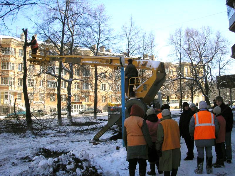 Фото На проспекте Ленина в Челябинске будет восстановлено озеленение – там, где это еще возможно