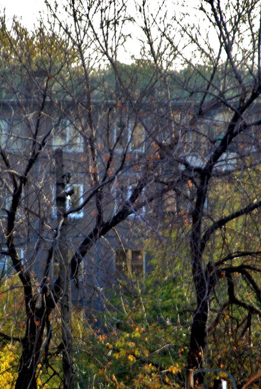 Фото В Челябинской области тепло и солнечно