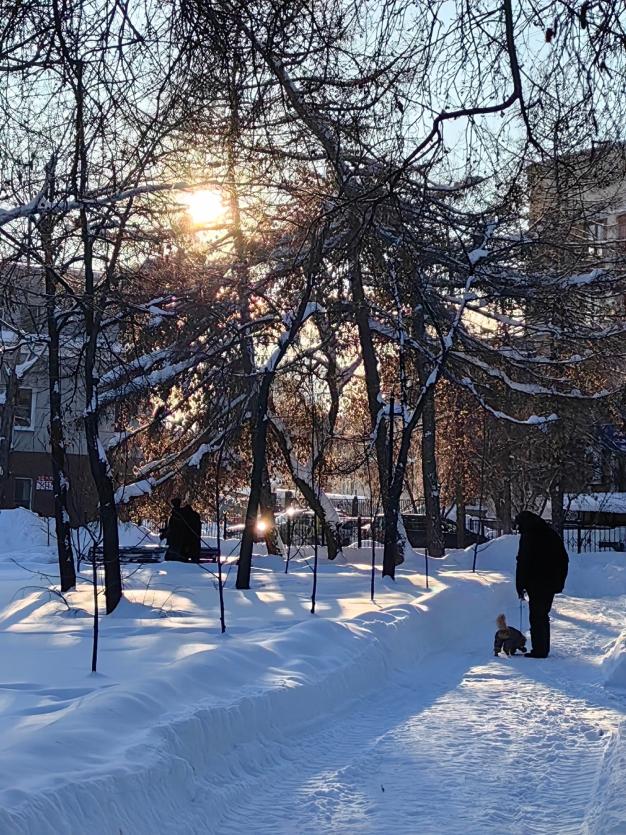 Фото В Челябинской области 21 февраля – морозно и без осадков