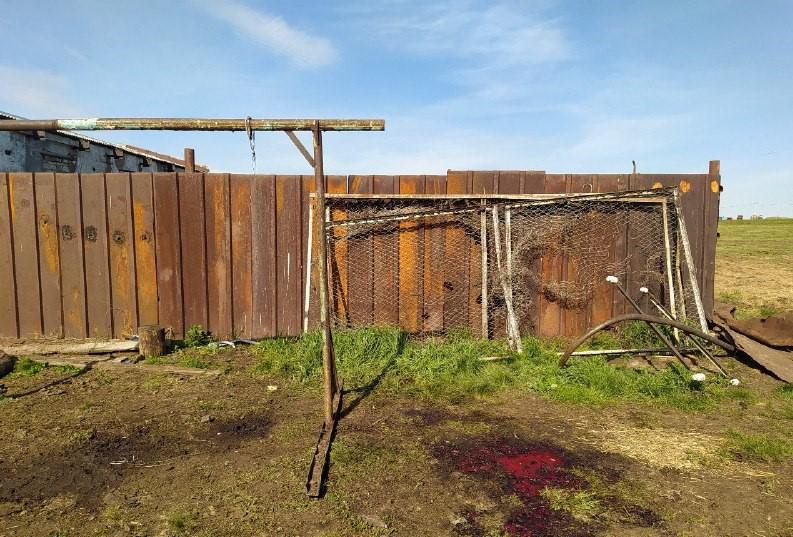 Фото Грязно и небезопасно: фермер из Кизильского района осуществлял убой животных с серьезными нарушениями