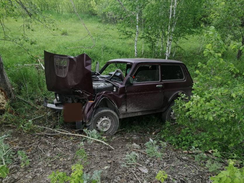 Фото В Тимирязевском автомобиль вылетел с трассы и врезался в дерево, водитель погиб