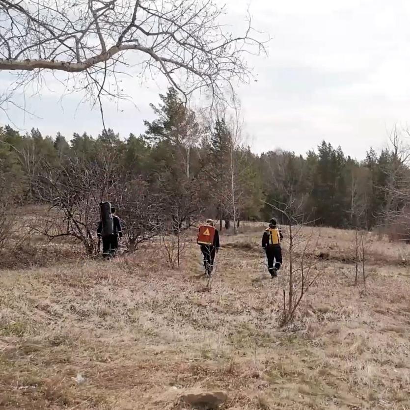 Фото В лесах Сосновского района заблудилась девушка из Сима 