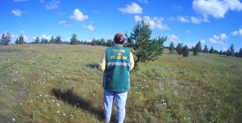 Фото Собственник земли в Уйском районе может лишиться ее по решению суда