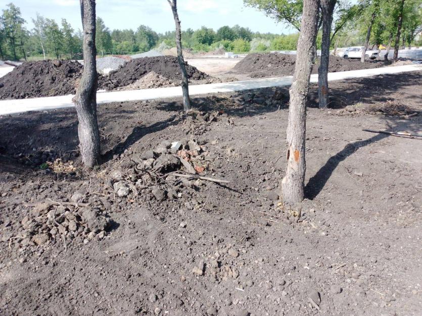 Фото При реконструкции парка Победы в Копейске подрядчик старается спасти оставшиеся деревья
