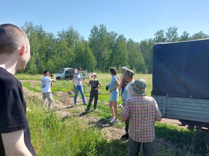 Фото На Южном Урале высадили пять тысяч сосен