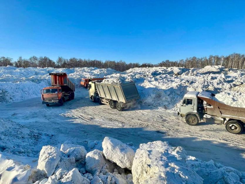 Фото В Челябинске появится современный полигон для снега