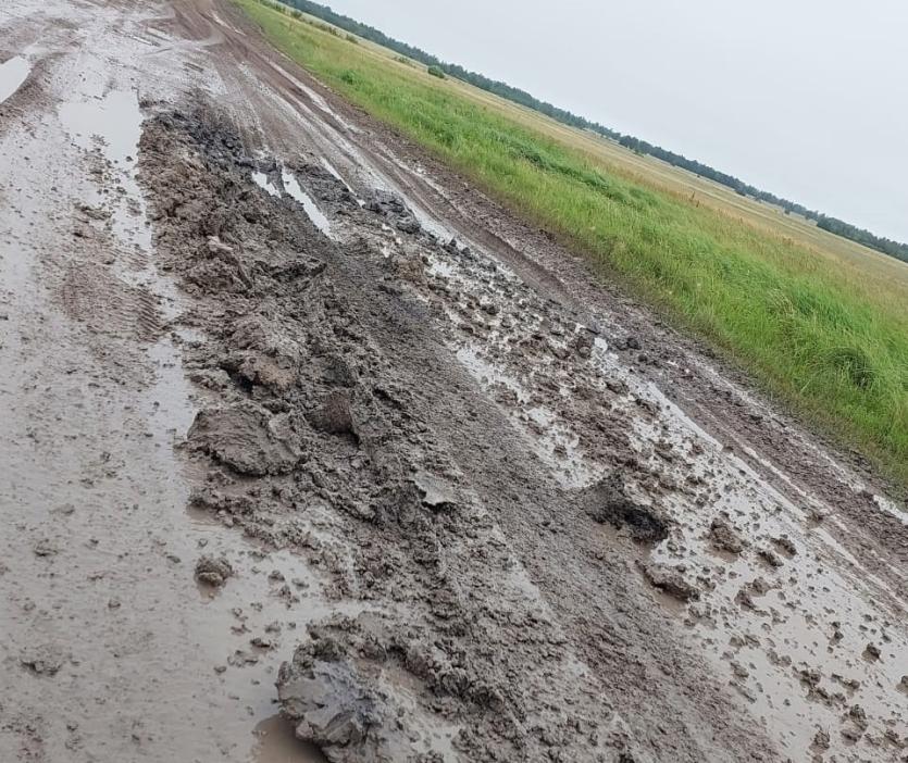 Фото Квест по пути домой: дорога в поселок Родник испытывает на прочность автомобилистов 