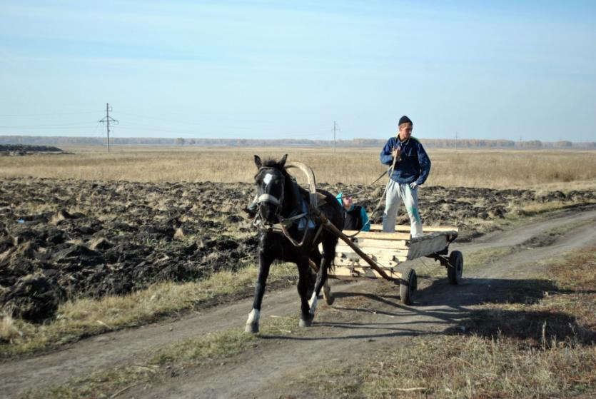 Фото В Челябинской области на пять лет обнулят ставку единого сельхозналога 