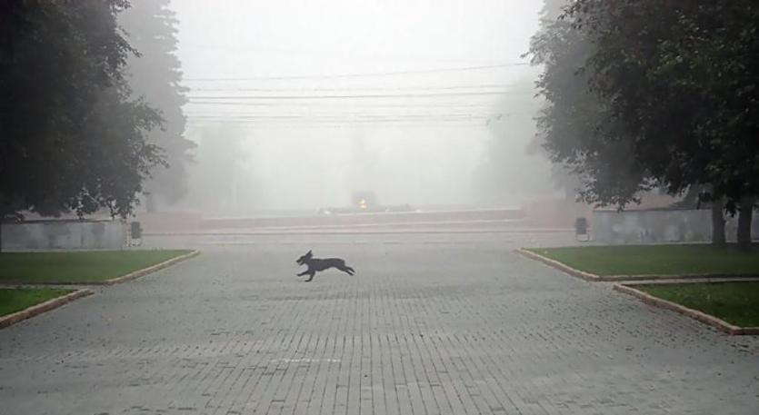 Фото В Челябинске и Коркино на сутки установятся неблагоприятные метеоусловия