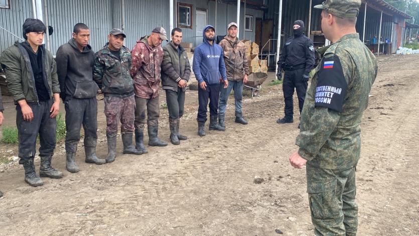 Фото Силовики провели проверки мигрантов в теплицах Сосновского района