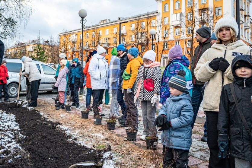 Фото В трёхгорненском Парке Победы провели высадку гортензий