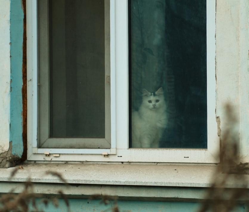 Фото События и мероприятия на 22 ноября