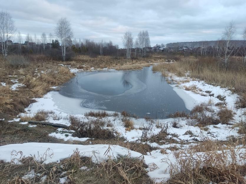 Фото В начале следующего года МТС начнет использовать в Челябинской области базовые станции отечественного производства