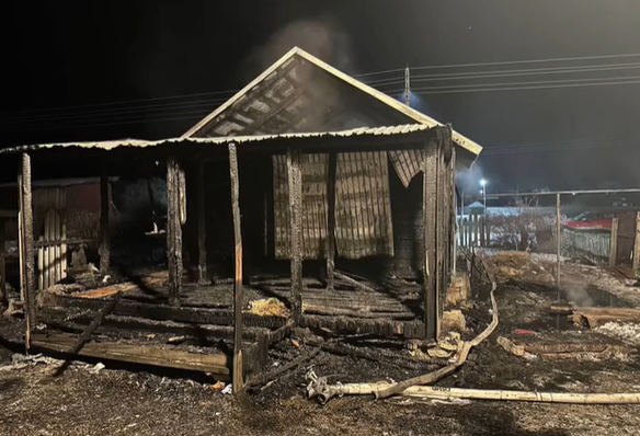 Фото Александр Бастрыкин заинтересовался гибелью детей в Чесменском районе