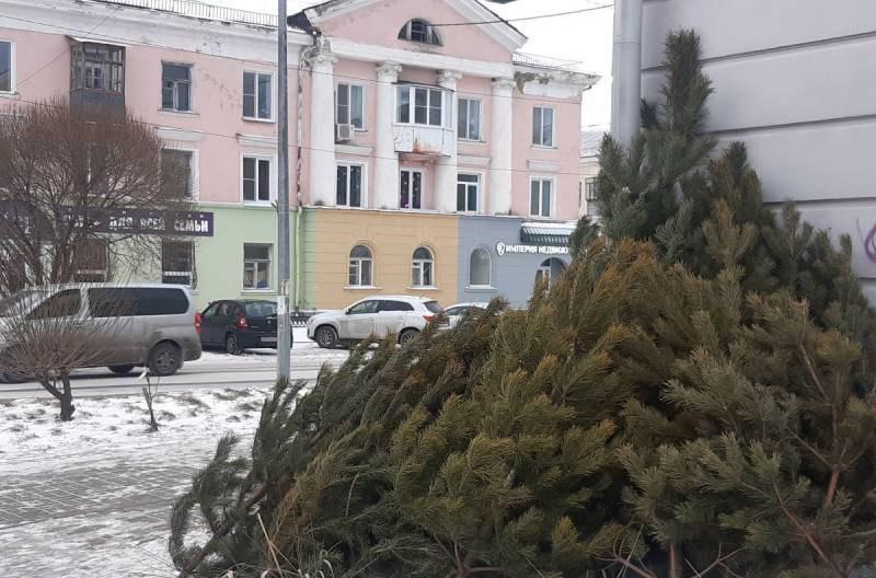 Фото В Челябинске полицейские зафиксировали 19 нарушений на елочных базарах