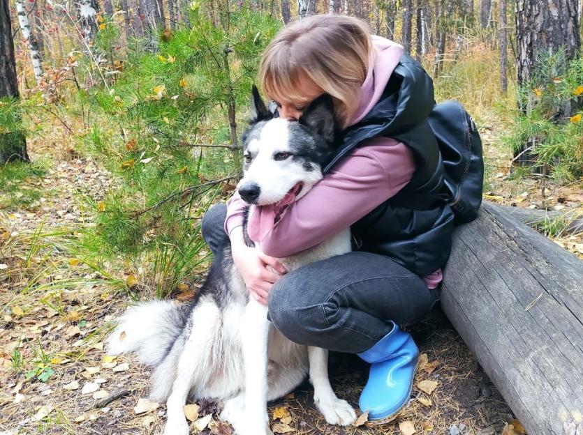 Фото В мире отметили День благодарности за верную любовь - наши питомцы многое нам дают 