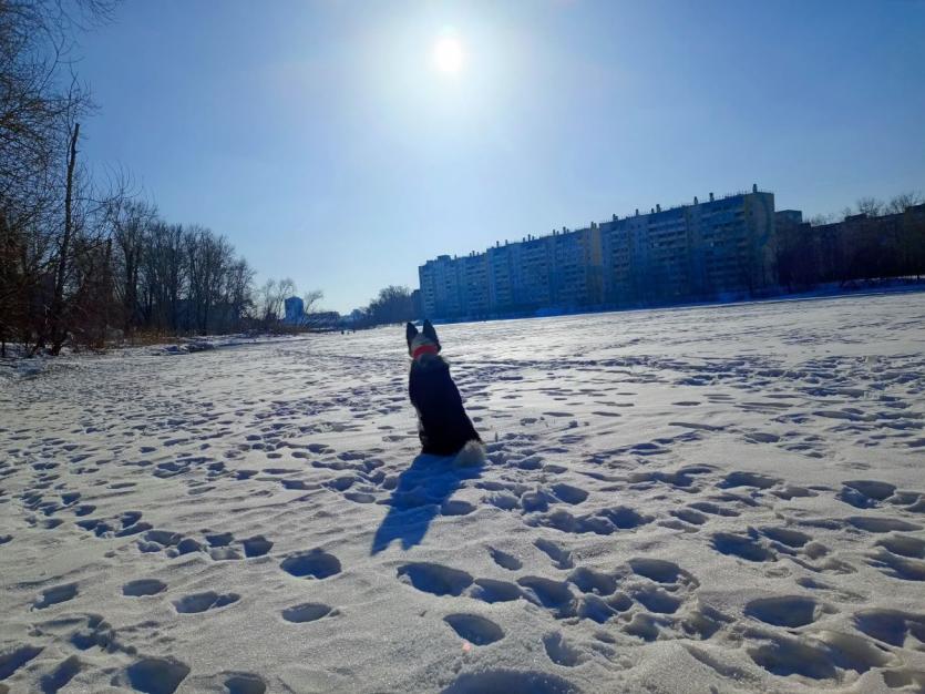 Фото Пять городов Южного Урала завершат январь в режиме «черного неба»