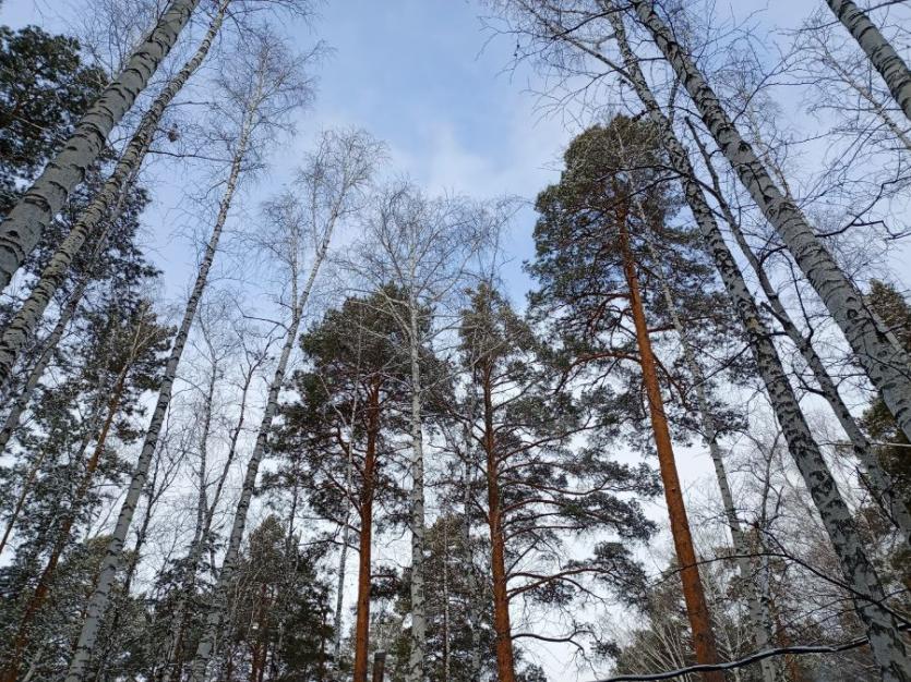 Фото Днем 12 марта в Челябинской области ожидаются мокрый снег, дождь и «плюс»