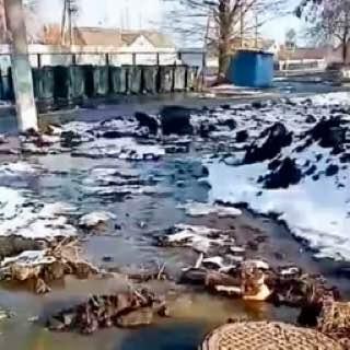 Фото За канализационный потоп в Долгодеревенском оштрафован директор «Комфорта»