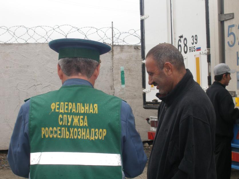 Фото Россельхознадзор проконтролировал в Челябинской области ввоз 613 партий импортной продукции