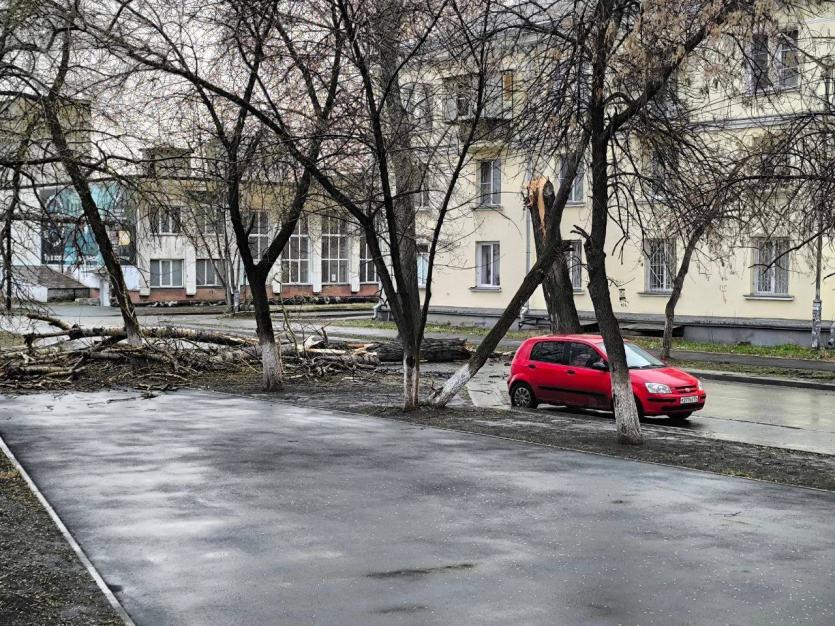 Фото В Челябинске ураганным ветром повалило деревья и дорожные знаки