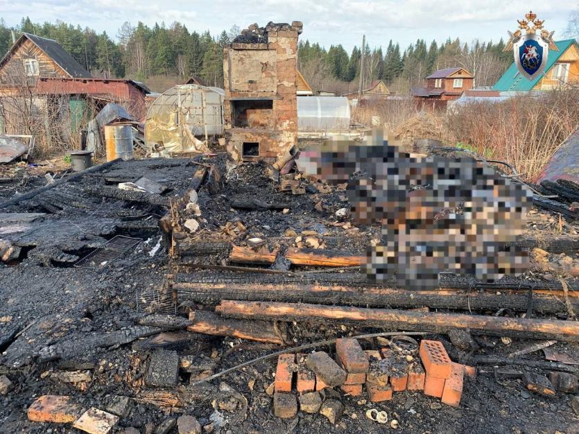 Фото В Златоусте на пожаре погибли четыре человека, возбуждено уголовное дело