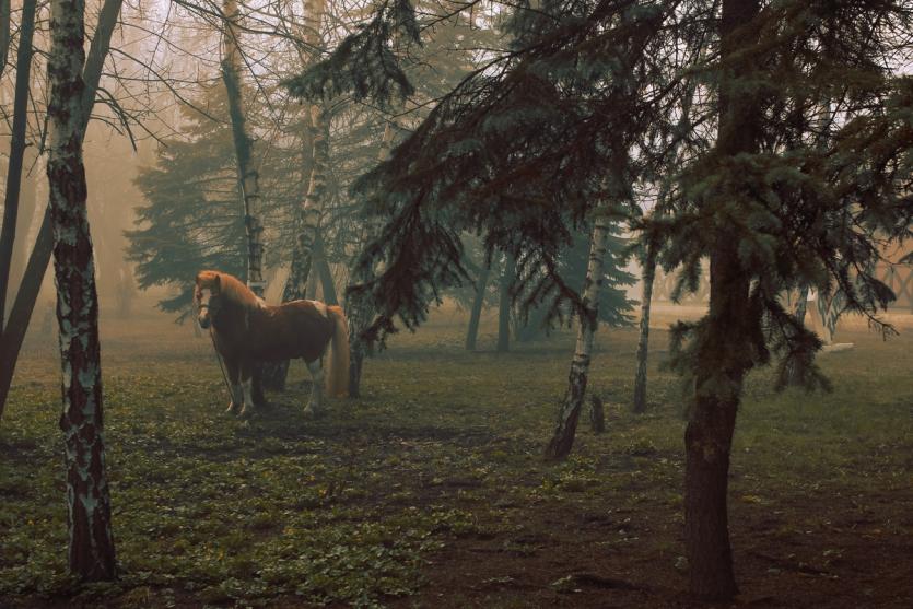 Фото События и мероприятия на девятое апреля
