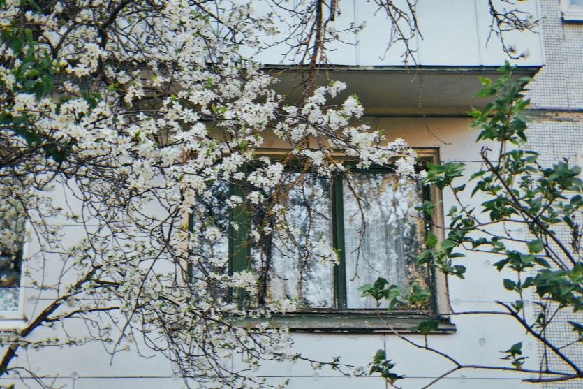 Фото События и мероприятия на 24 апреля
